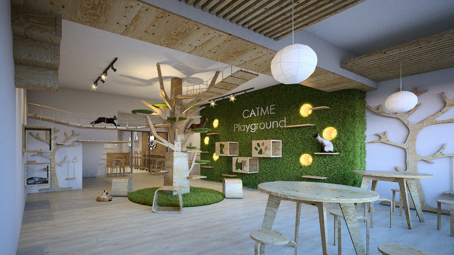 Seria Pet Mart, Cat Hotel & Grooming 5